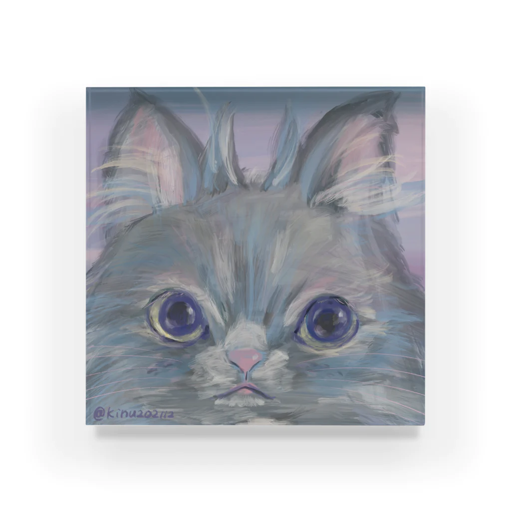 猫のきぬくんのお店のフクロウじゃないもん Acrylic Block