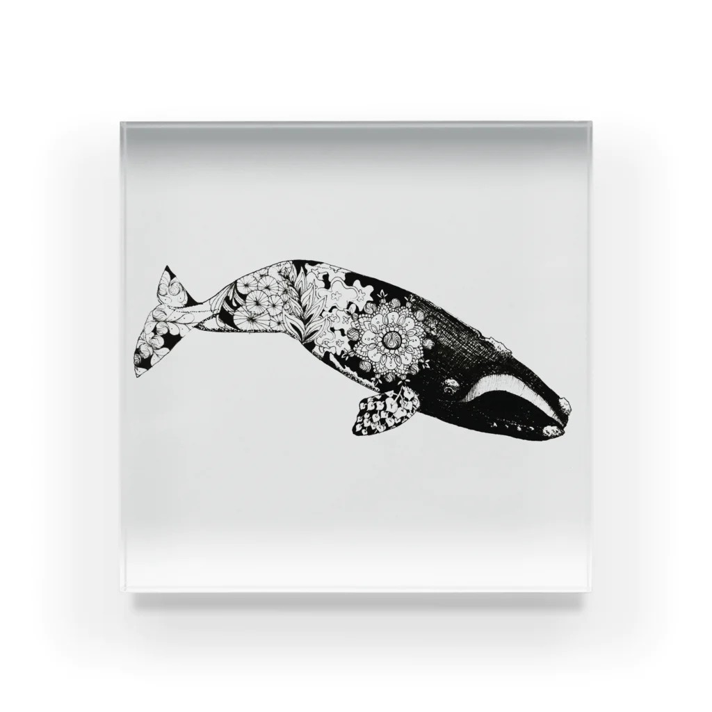 しょーのセミクジラ Acrylic Block