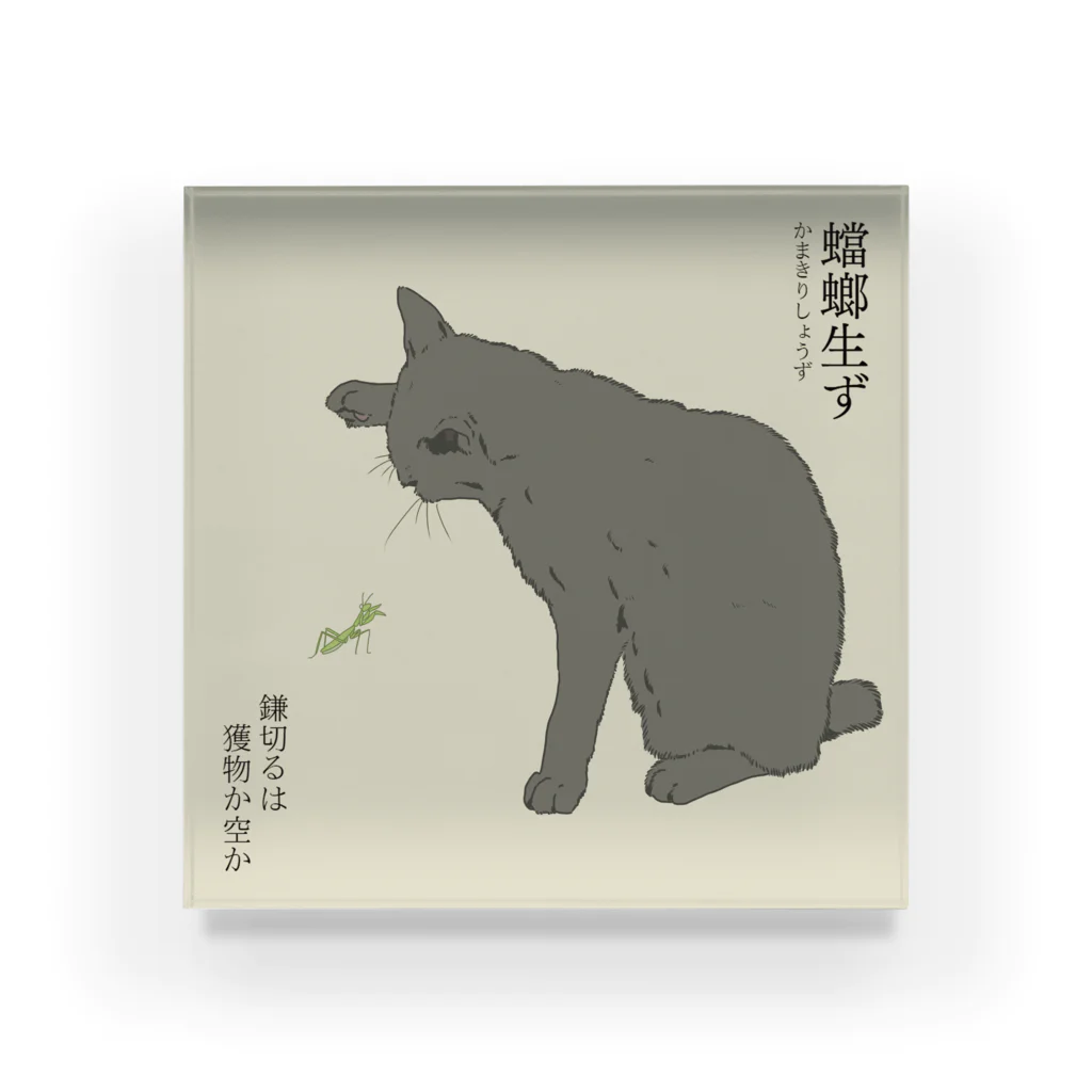 猪猫の蟷螂生ず　猫パンチしたい灰色猫 Acrylic Block