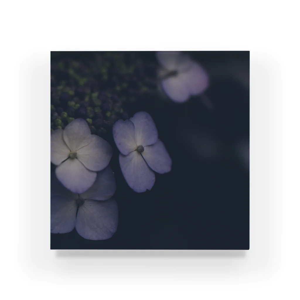 hoshikuzu_cafeの紫陽花 アクリルブロック