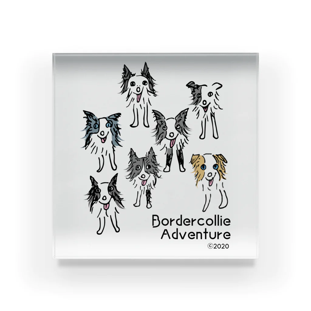 Bordercollie StreetのBCA709-5 Acrylic Block