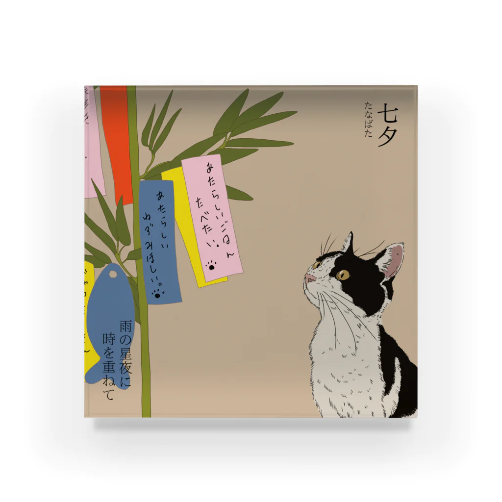 猪猫の七夕　短冊を狙うハチワレ仔猫 Acrylic Block