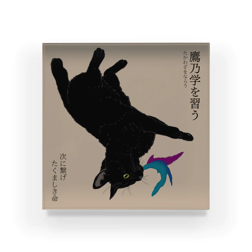 猪猫の鷹乃学を習う　おもちゃを捕まえた黒猫仔猫 Acrylic Block