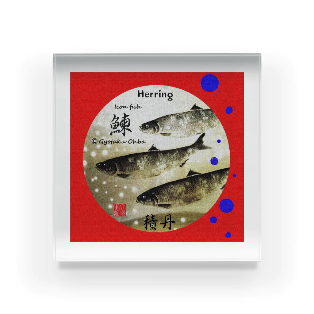 G-HERRINGの鰊！積丹（HERRING；ニシン）　あらゆる生命たちへ感謝をささげます。※価格は予告なく改定される場合がございます。 アクリルブロック