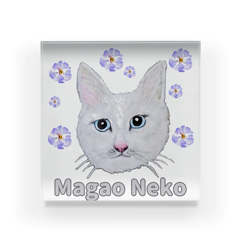 れいにゃん堂&れいにゃあ～と😺のチョークアートの白猫[Magao Neko] アクリルブロック