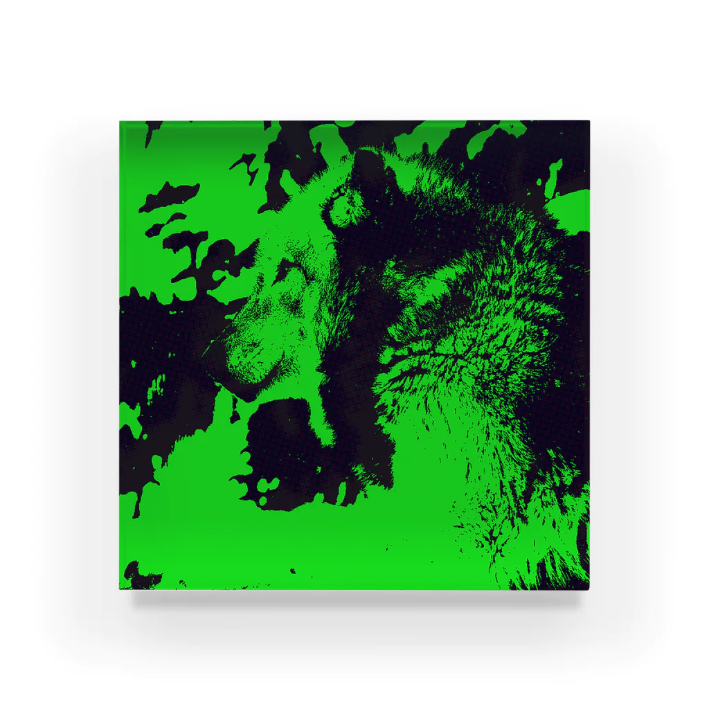 FLUORESCENCE のWOLF LIGHTGREEN アクリルブロック