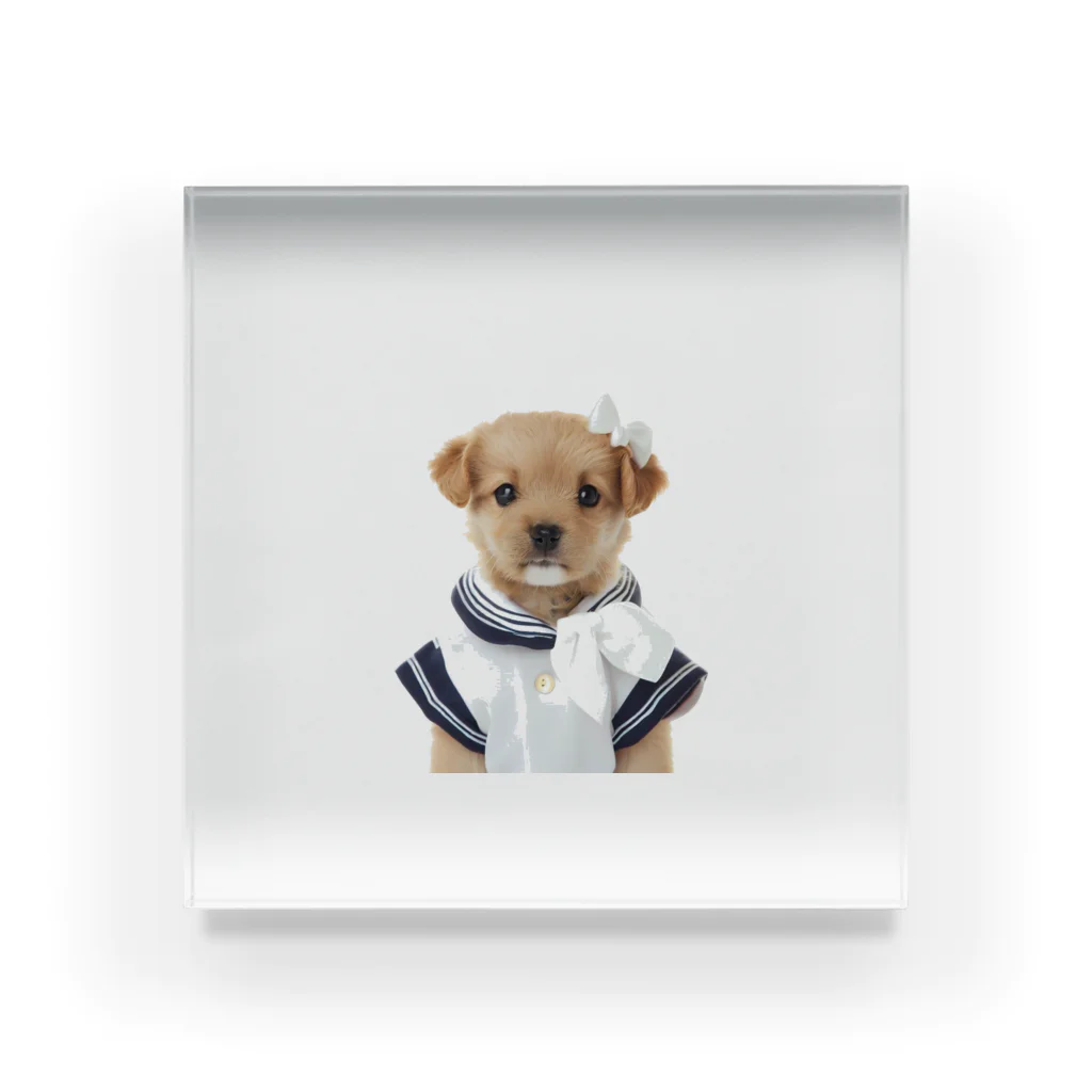 dogsandcatsのセーラーパピー Acrylic Block