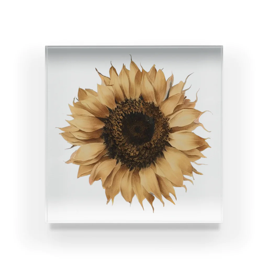 Atelier Petrichor Forestのヒマワリ Sunflower Acrylic Block