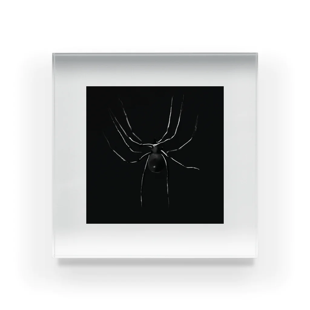 クモの蜘蛛 Acrylic Block