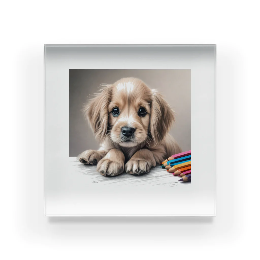 つぶらな瞳の子犬グッズ屋さんのつぶらな瞳の可愛い子犬② Acrylic Block