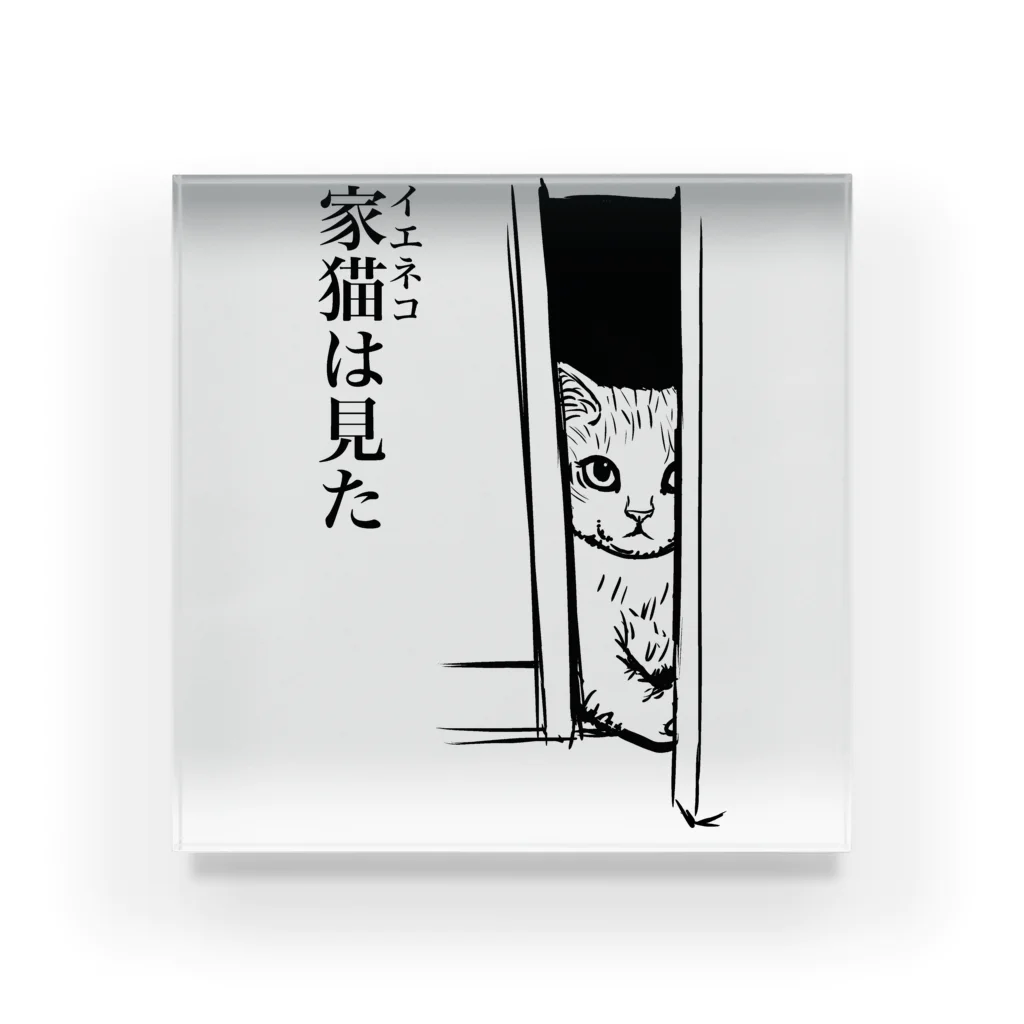 nya-mew（ニャーミュー）の家猫(イエネコ)は見た Acrylic Block