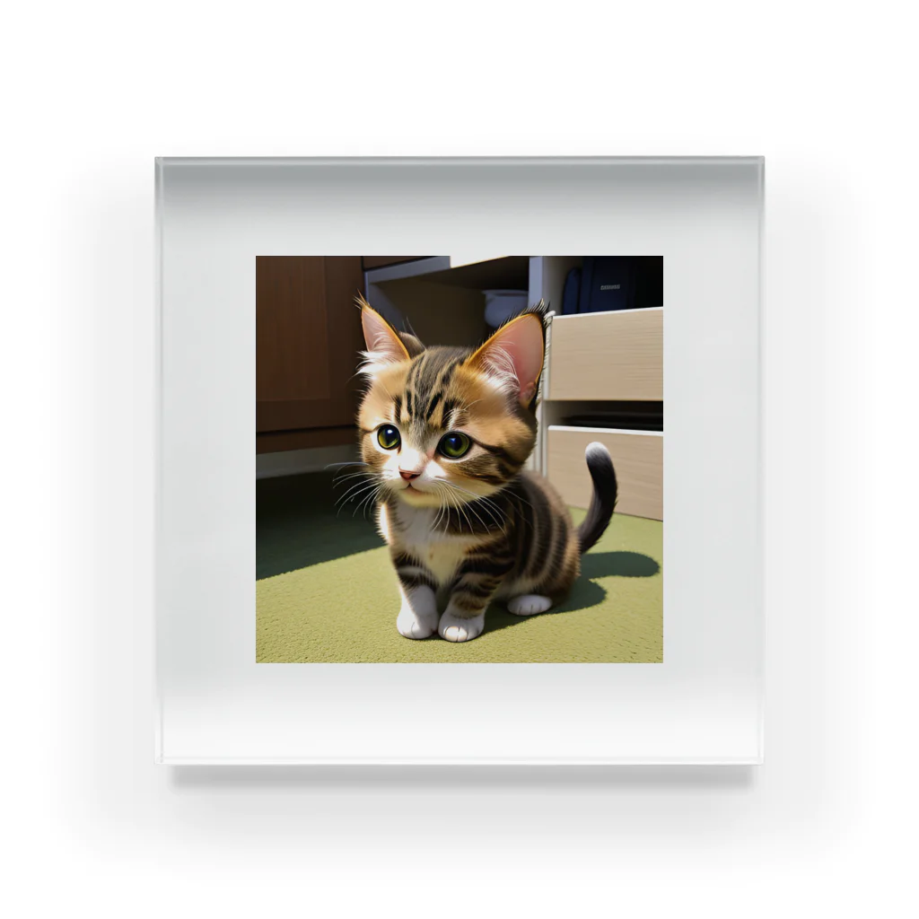 anagram12の子猫 Acrylic Block