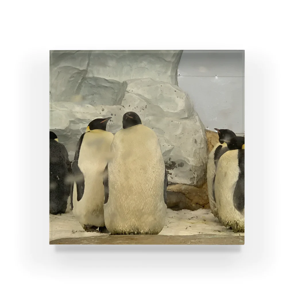 玉手箱のラブラブペンギン アクリルブロック