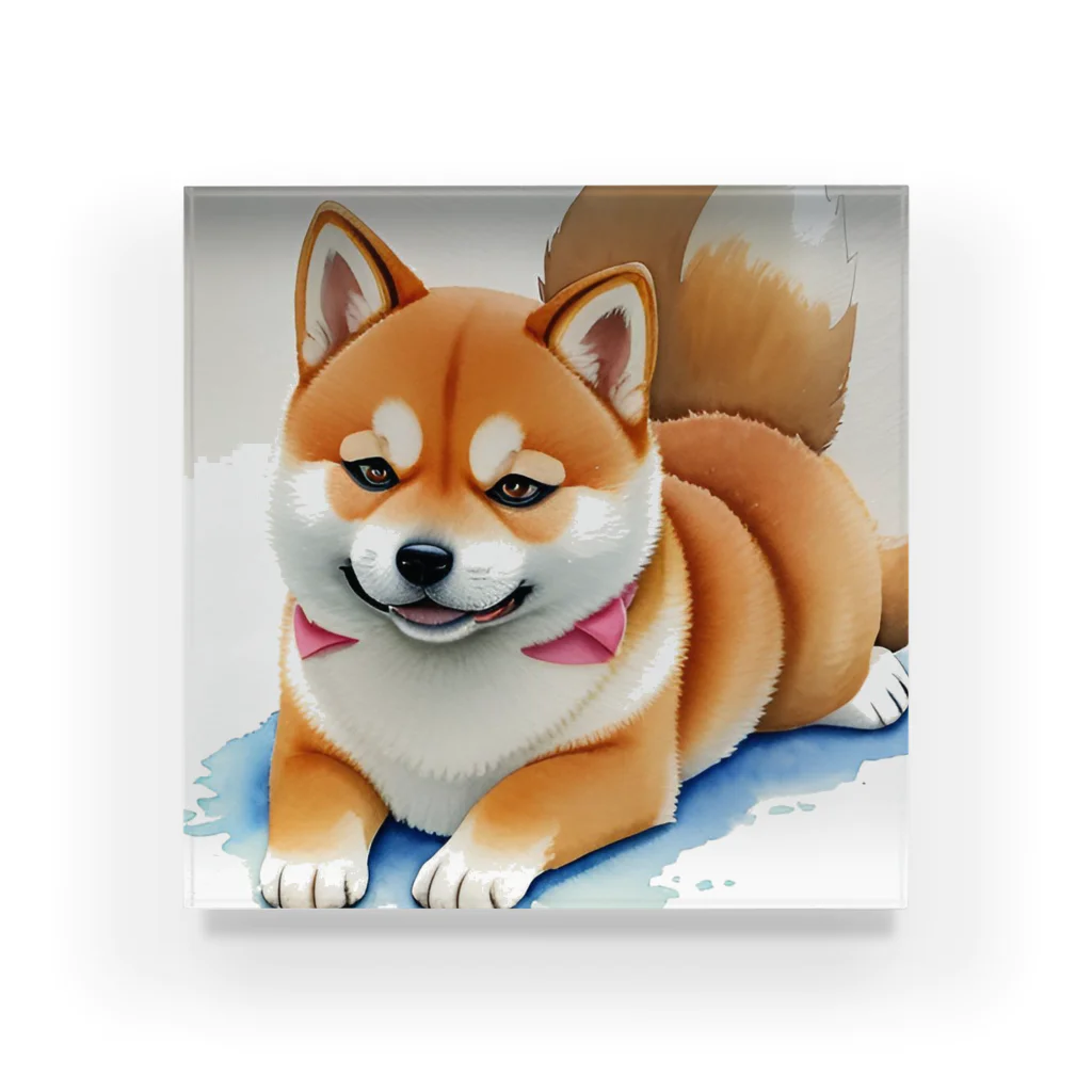 shIbaのシバの眼差し Acrylic Block