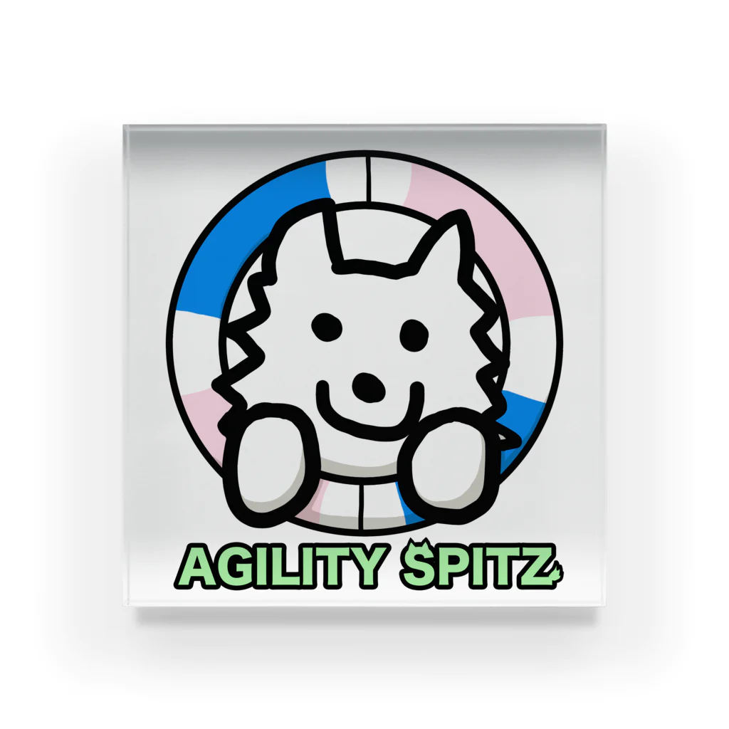 ehime@けだま&もち＆すみのAGILITY SPITZ「タイヤからこんにちは！」 アクリルブロック