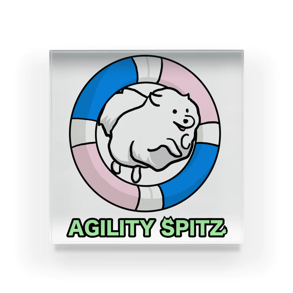 ehime@けだま&もち＆すみのAGILITY SPITZ「ぴょ〜んと飛ぶよ」 アクリルブロック