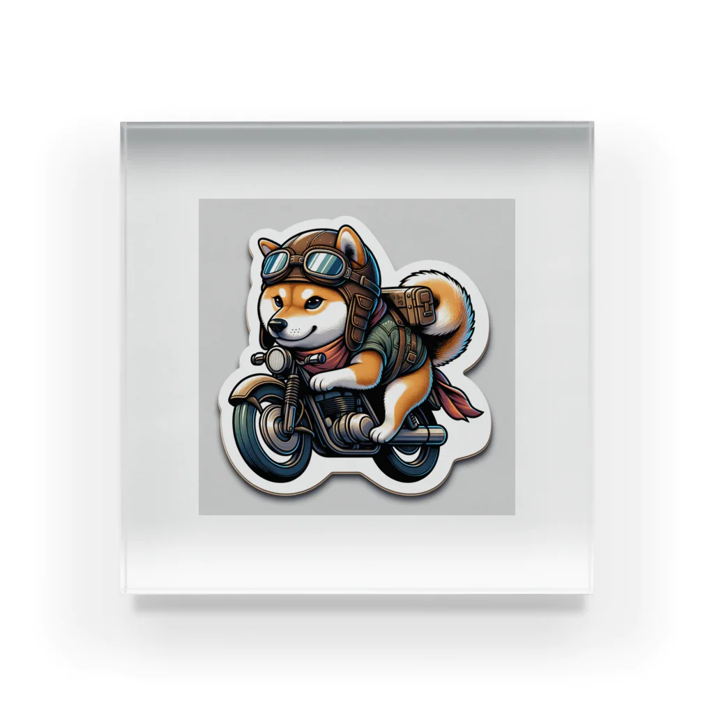 シバライダーロードの柴ライダーロードshiba34 アクリルブロック