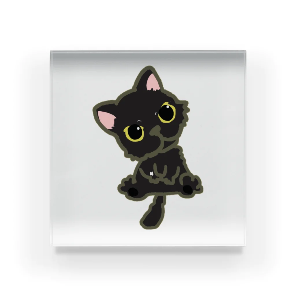 hogokeの保護猫 政宗 Acrylic Block