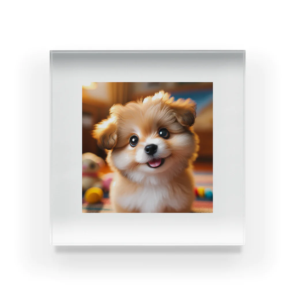 nick613の愛らしい小型犬が微笑みながらカメラに向かっている Acrylic Block
