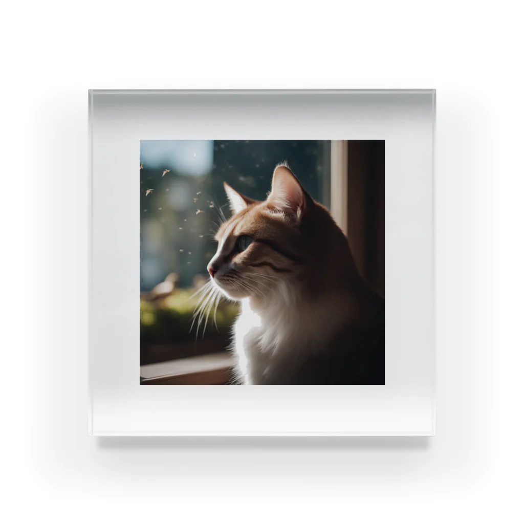 Delight (ディライト)の窓辺で鳥を見ている猫 アクリルブロック
