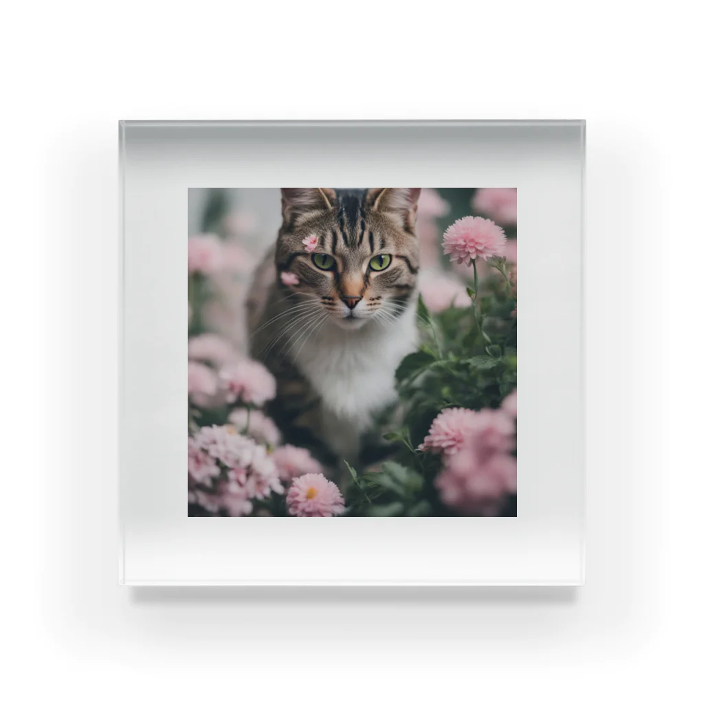 tyu0972の猫と花 Acrylic Block