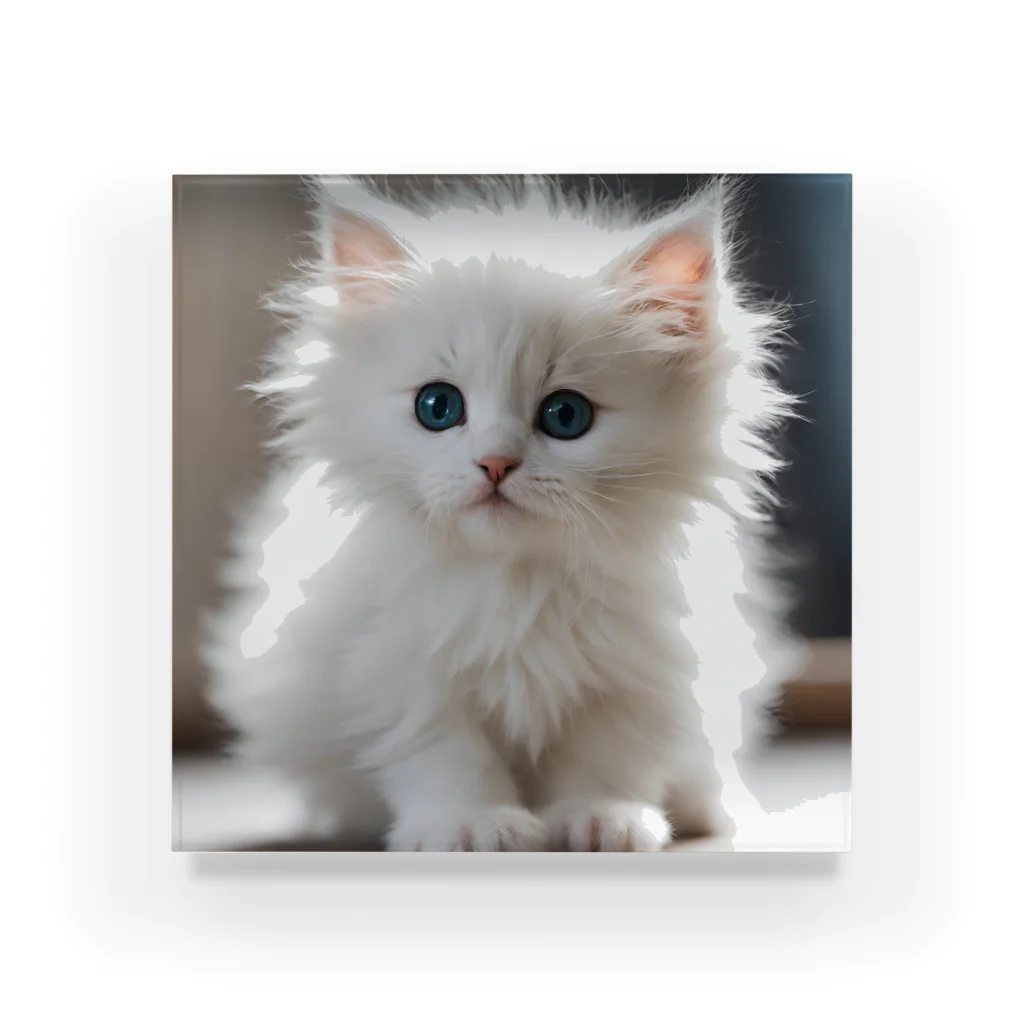 SkyBlueのキュートな子猫 Acrylic Block