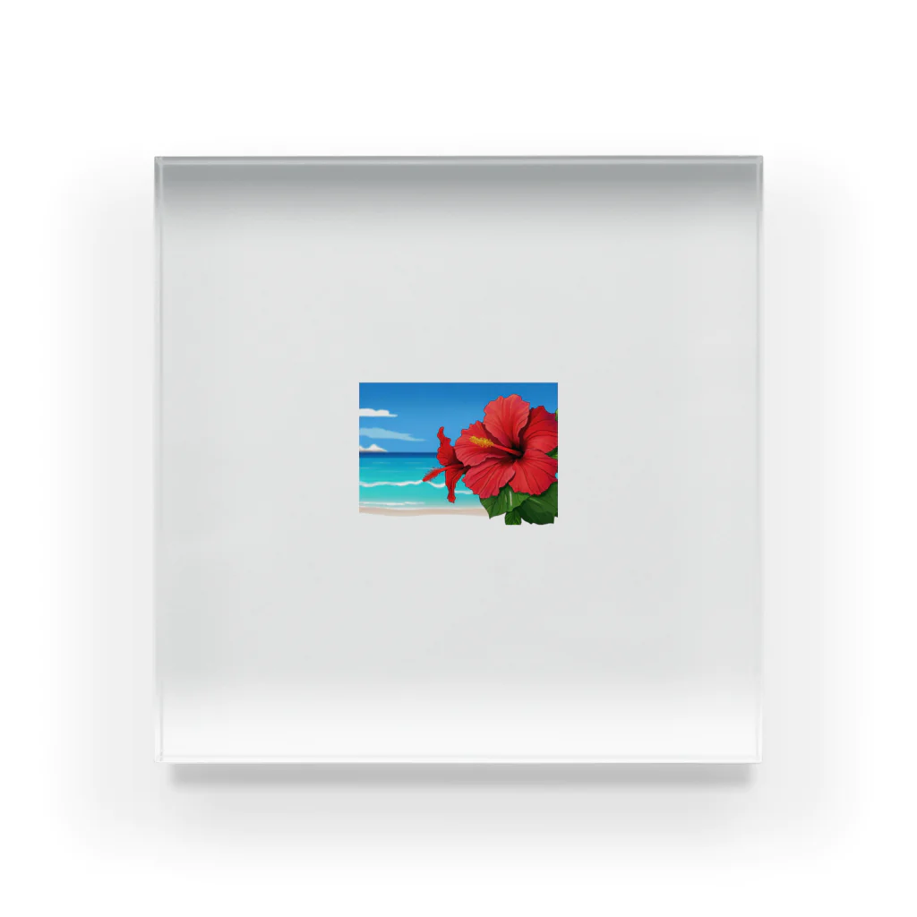 kaiminsapoのハイビスカス　リゾート　🌺　🏝️ Acrylic Block