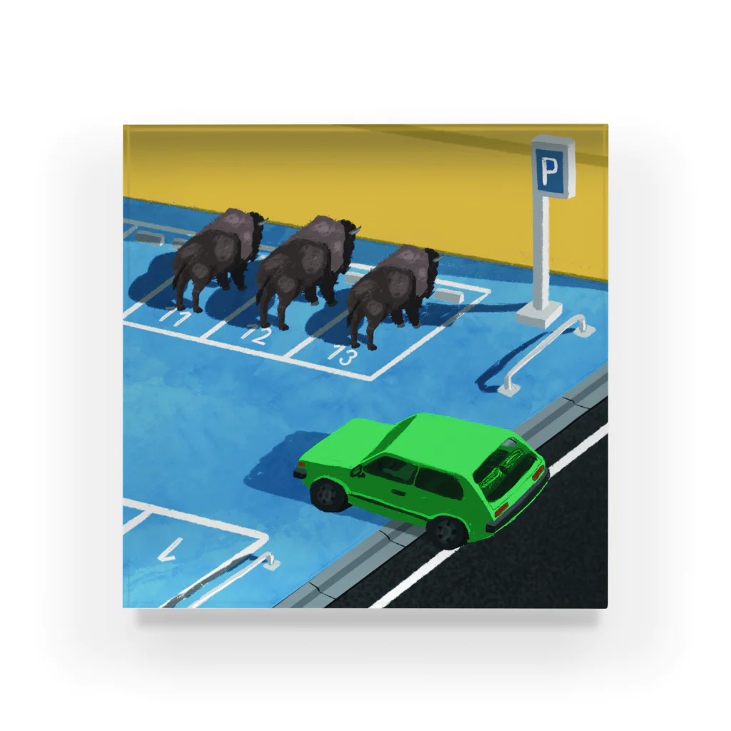 monomawaruの駐車場でのバイソンたち / Bisons at the parking lot Acrylic Block