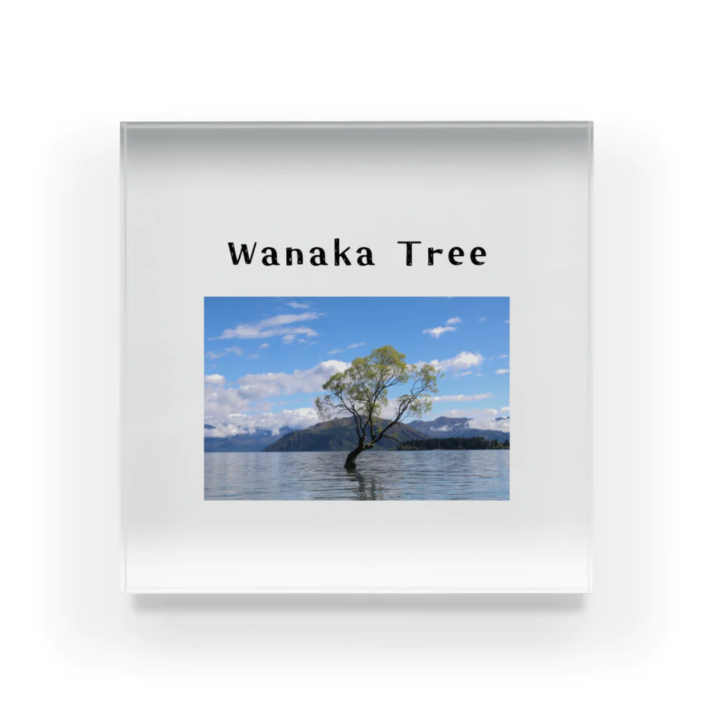 絶景の宝石箱のWanaka Tree〜自然の宝石箱:ニュージランドより〜 アクリルブロック