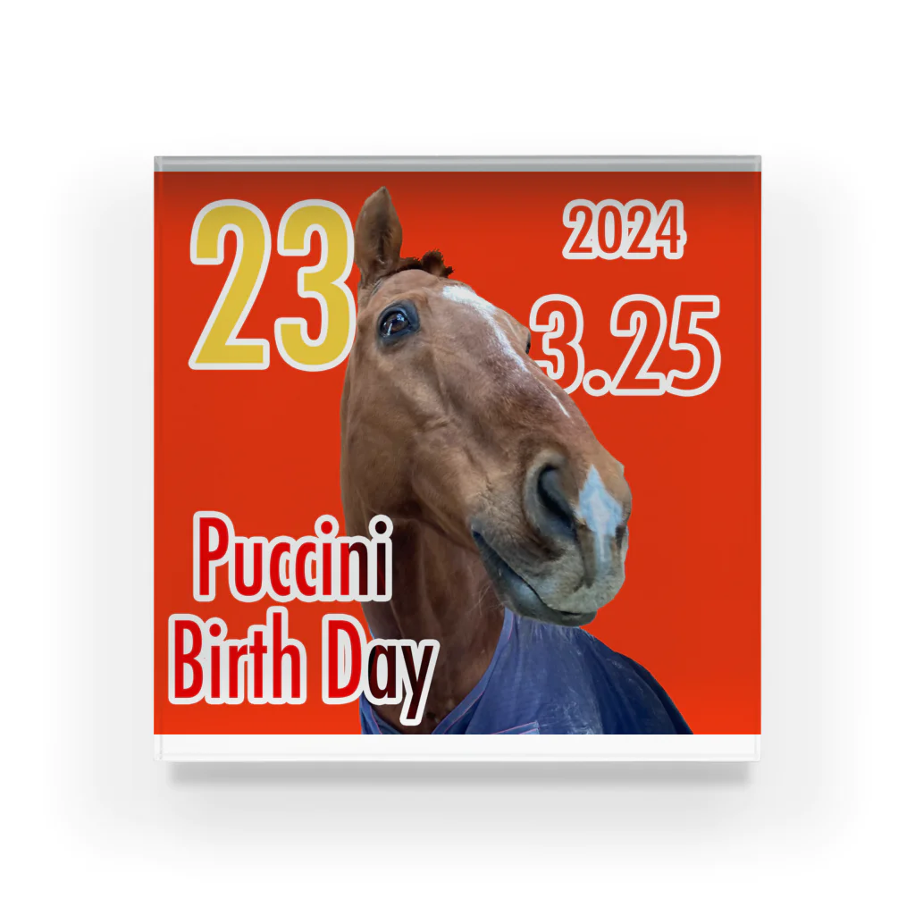 げんき牧場グッズ売り場のプッチお誕生日グッズ2024 Acrylic Block