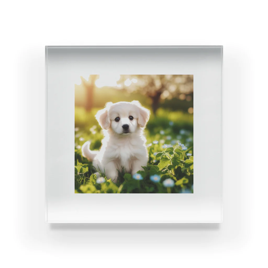 DOG SHOP🐕のふわふわワンちゃんグッズ Acrylic Block