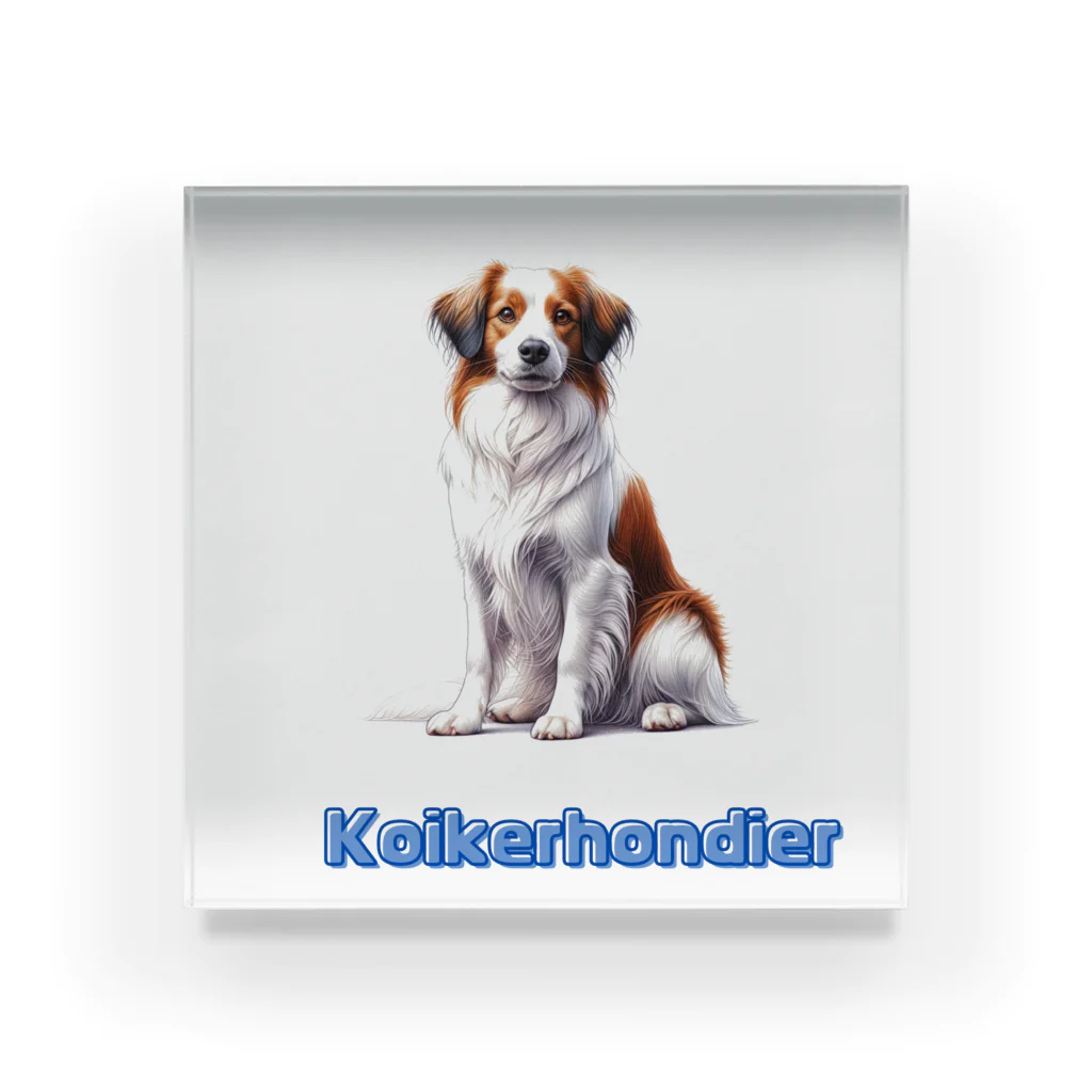 29chanのkoikerhondier犬 アクリルブロック