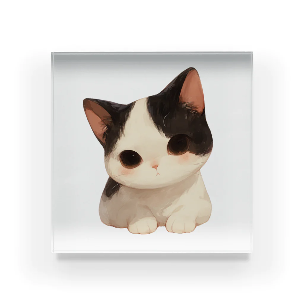 Cute Animalsのモノクロ猫 Acrylic Block