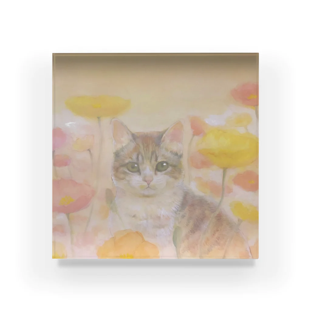 やさしい世界の子猫と花 Acrylic Block