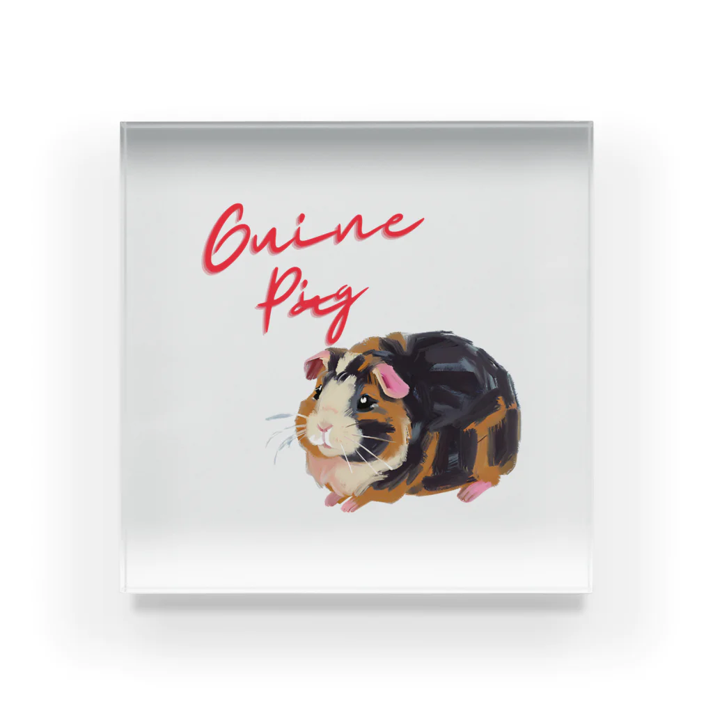 OKameMolꕤ︎︎オカメモルの油絵風「GuineaPig」三毛モルモット Acrylic Block