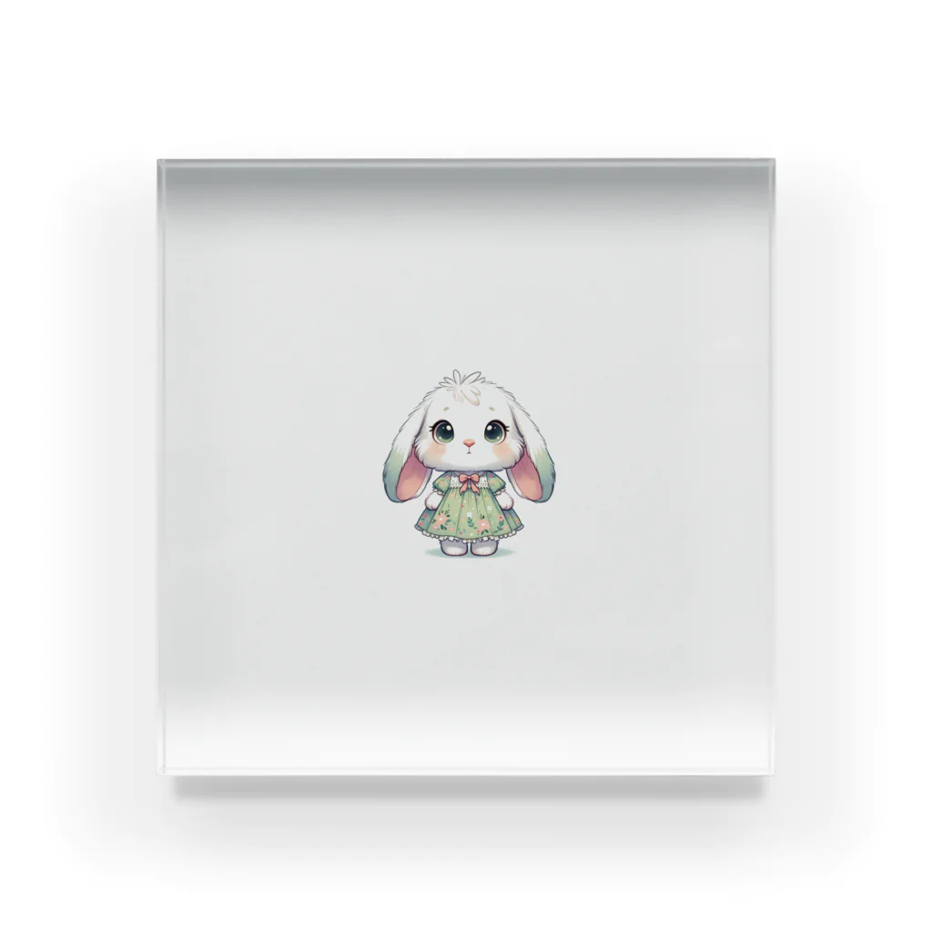 Kojironのうさちゃん Acrylic Block