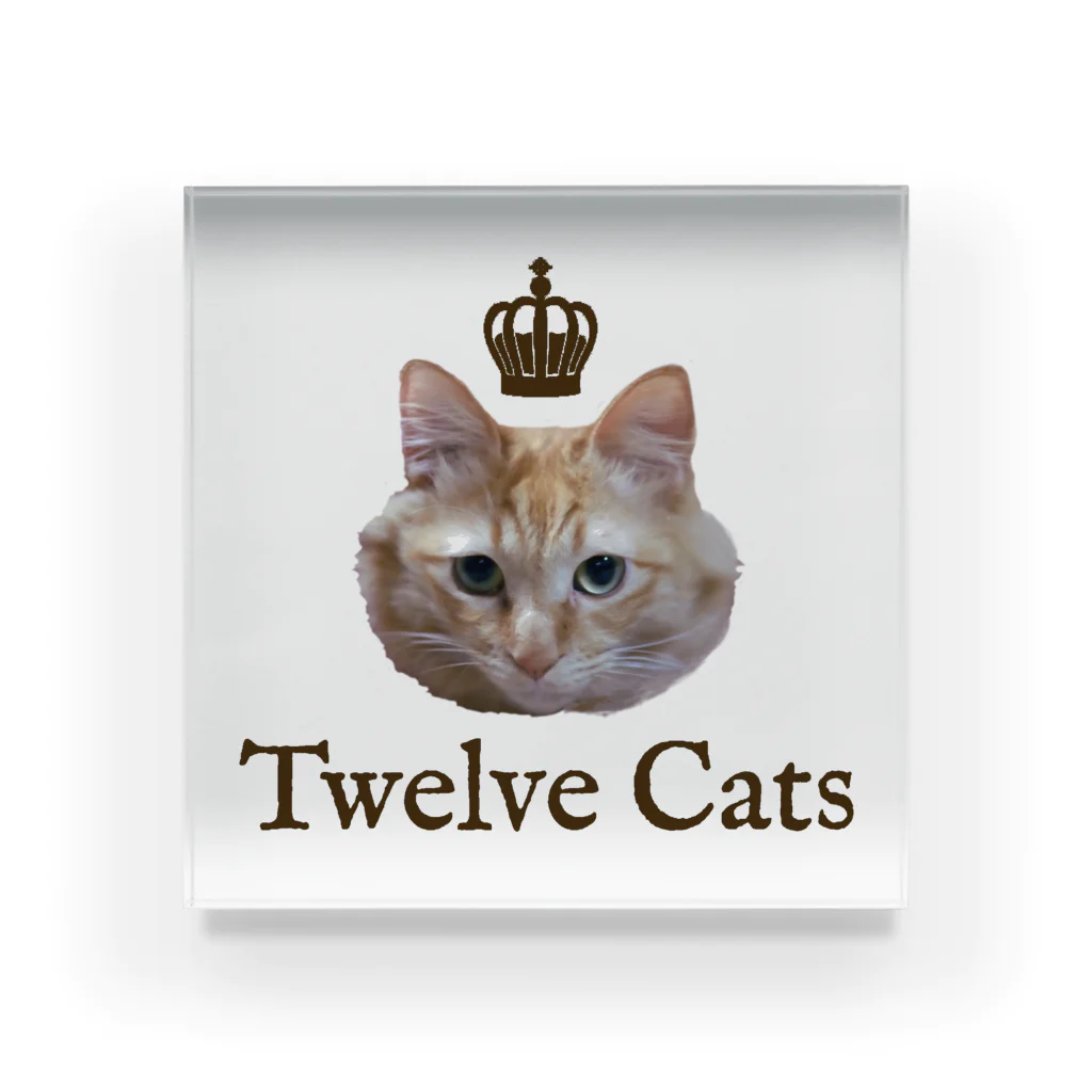 Twelve Catsの百獣の王 Acrylic Block