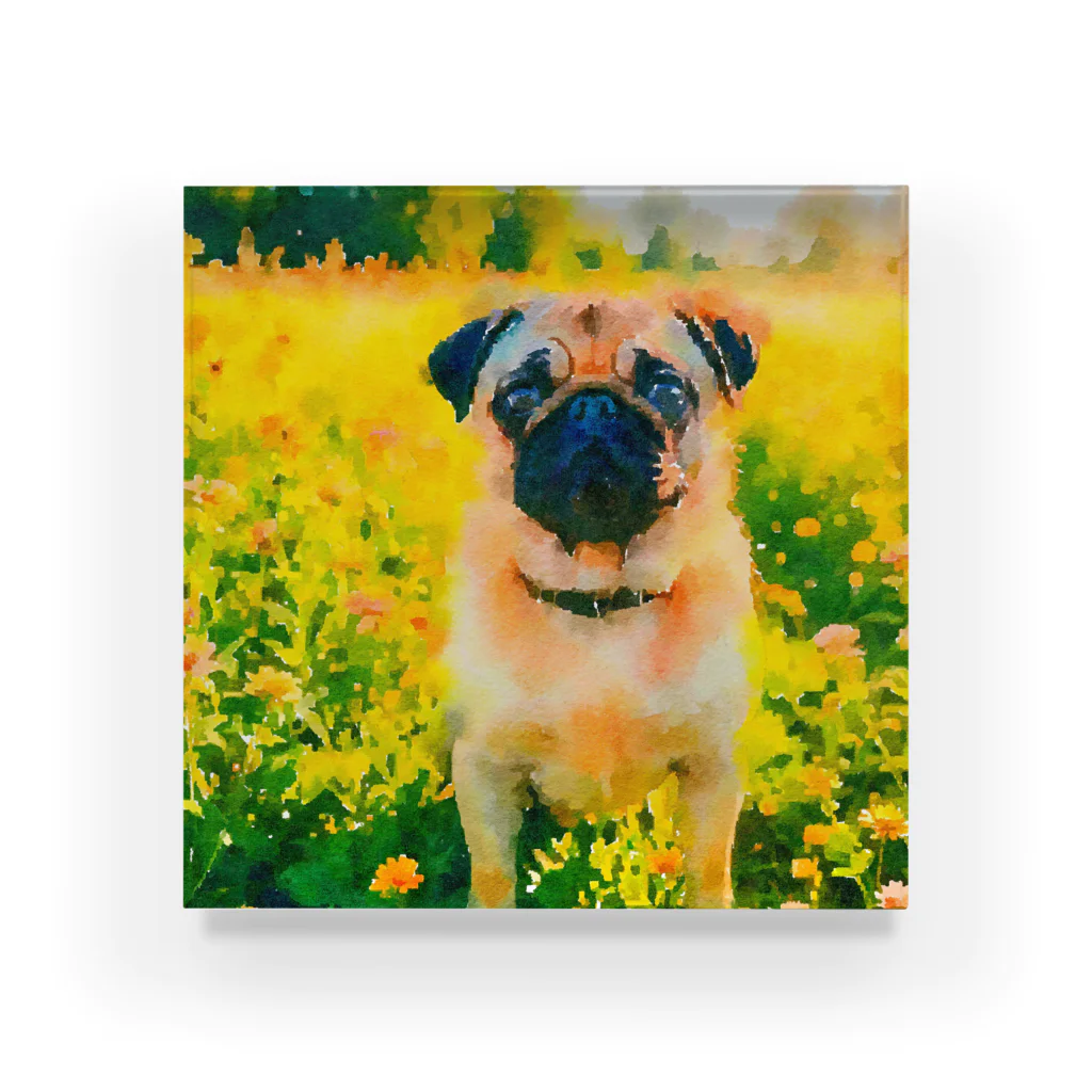 犬好きのしましまの水彩画の犬 花畑のパグのイラスト Acrylic Block