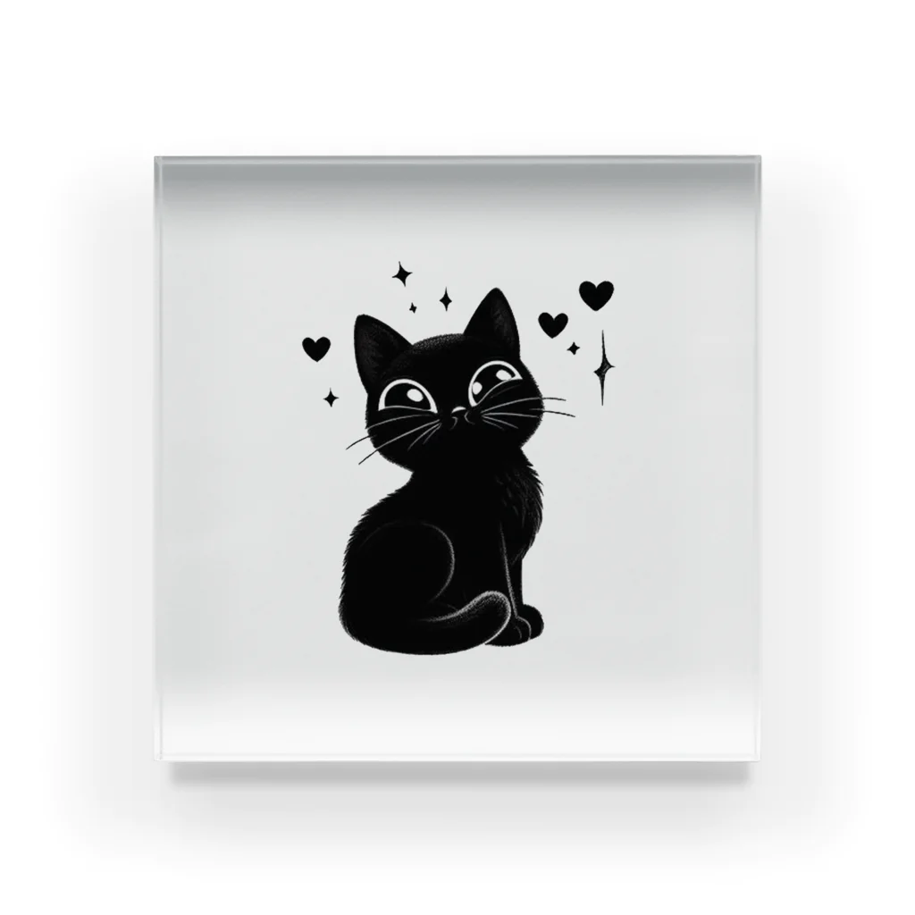Mizuki・ASIA CATの黒猫ニャン・ポイント Acrylic Block