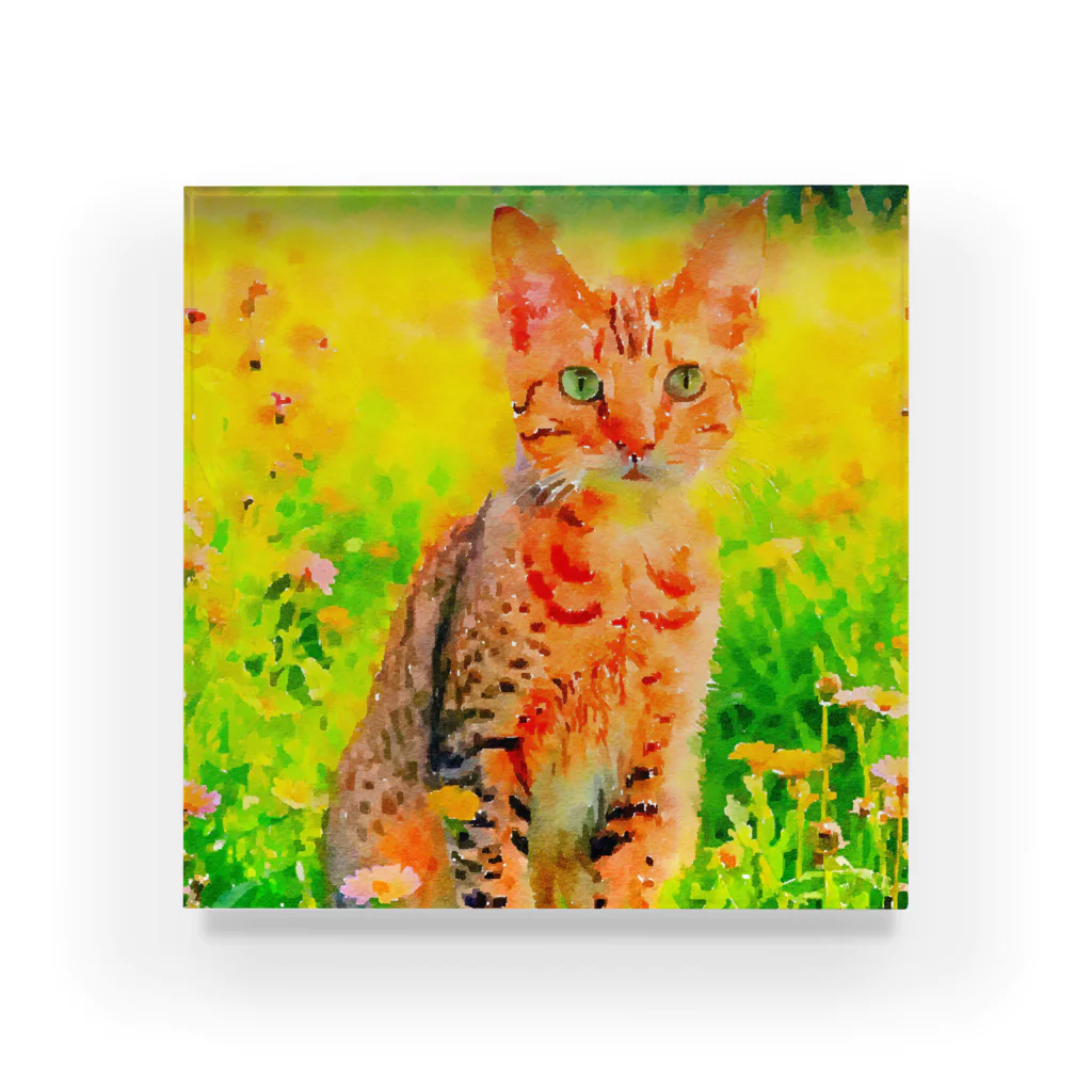 猫好きの谷の猫の水彩画/花畑のオシキャットねこのイラスト/キジトラネコ Acrylic Block