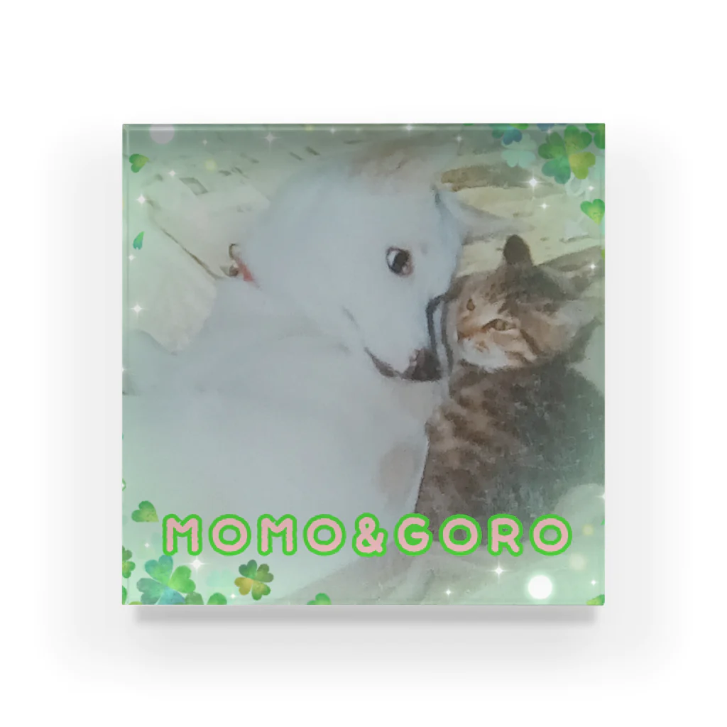 yotsuba-1207のMOMO&GORO アクリルブロック
