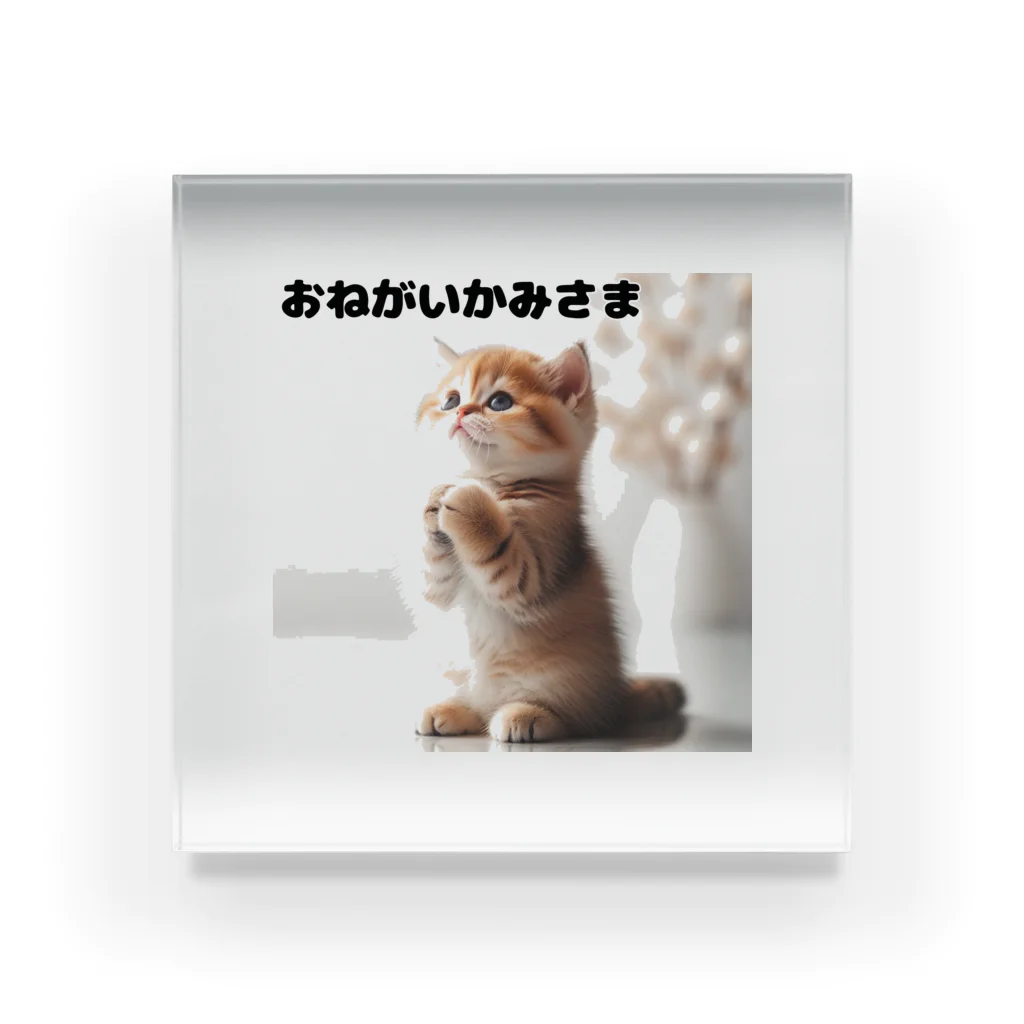 koumeiのおねがいネコちゃん💕 Acrylic Block