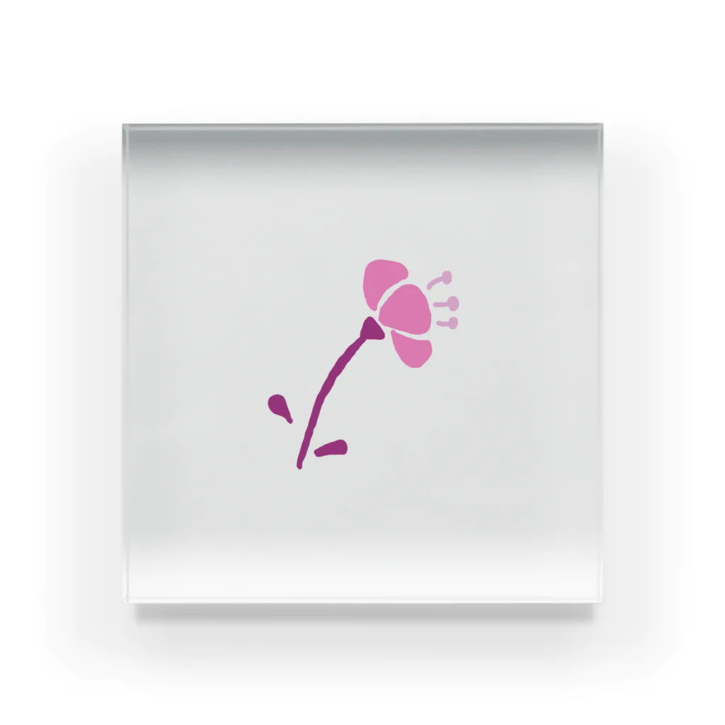 sb&colorのピンク花 アクリルブロック