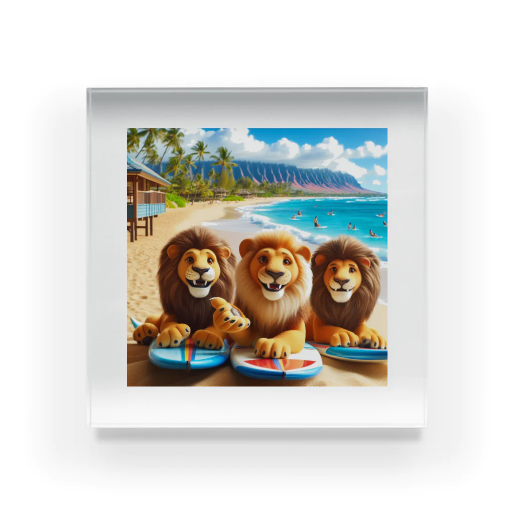 YFCのハワイのリゾートビーチでサーフィンを楽しむ陽気なライオン達④ Acrylic Block
