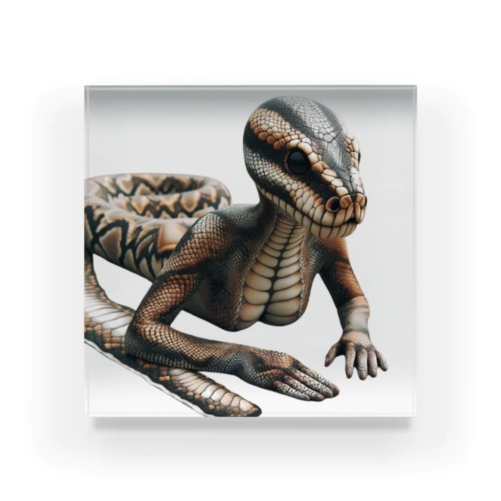 reptilesの怪人蛇女 Acrylic Block