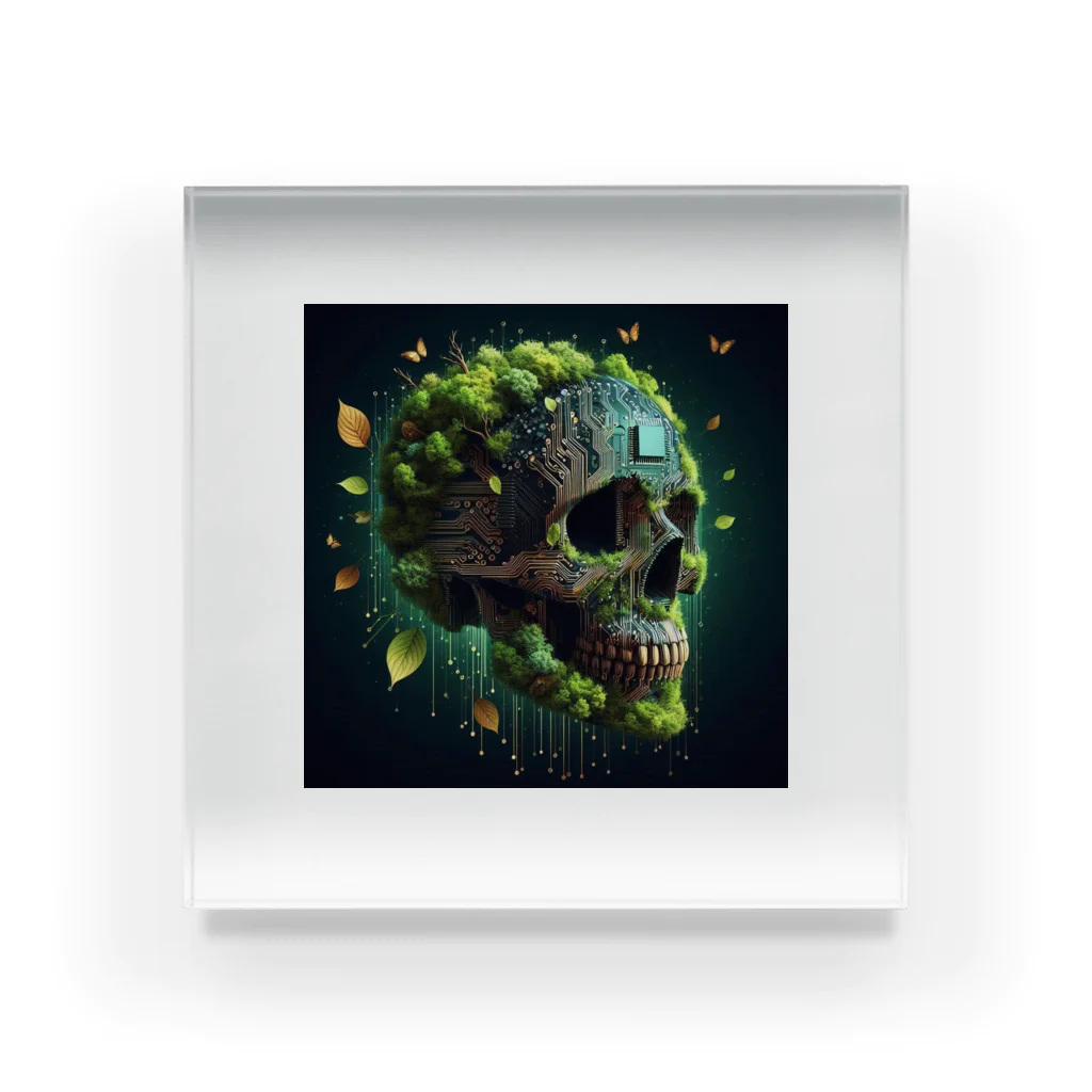 wワンダーワールドwのSKULL031 Acrylic Block