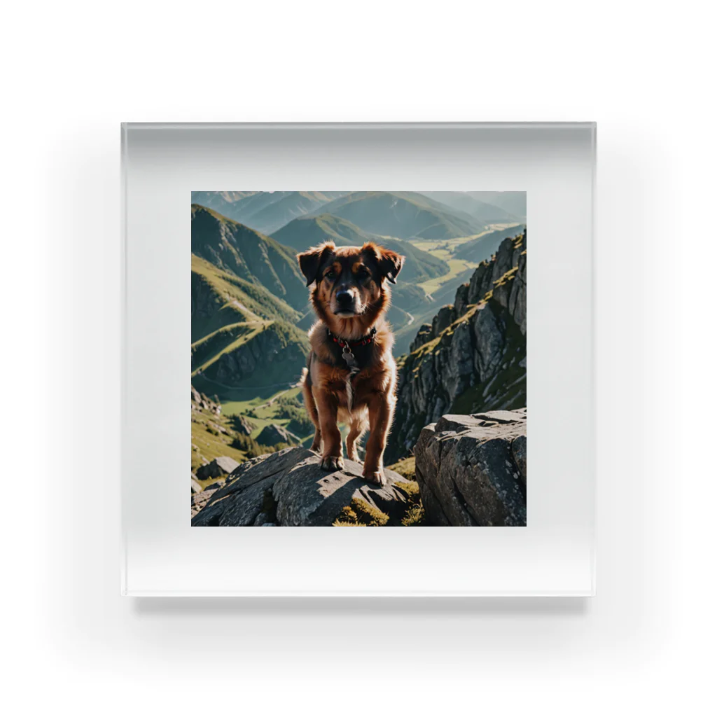 kokin0の山の麓にいる犬 dog top the mountain アクリルブロック