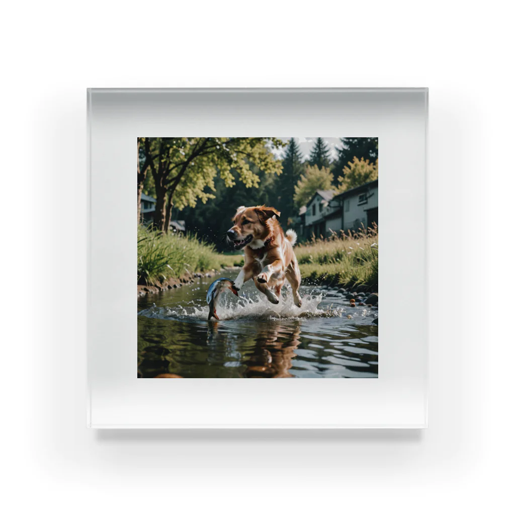 kokin0の水辺を走る犬 dog runnning on the water Acrylic Block