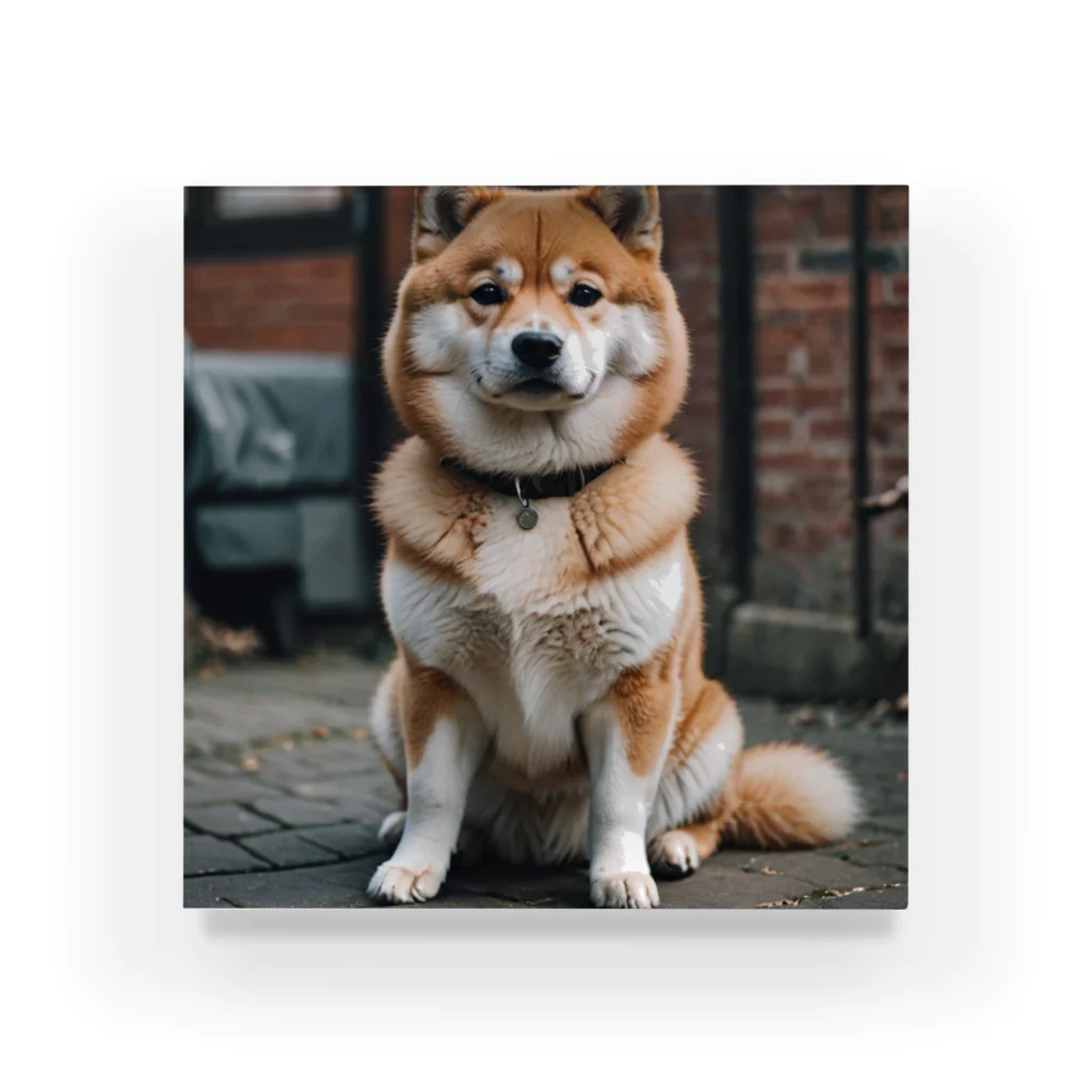 kaerinofficeのかわいすぎる柴犬の表情を収めた写真📸  Acrylic Block