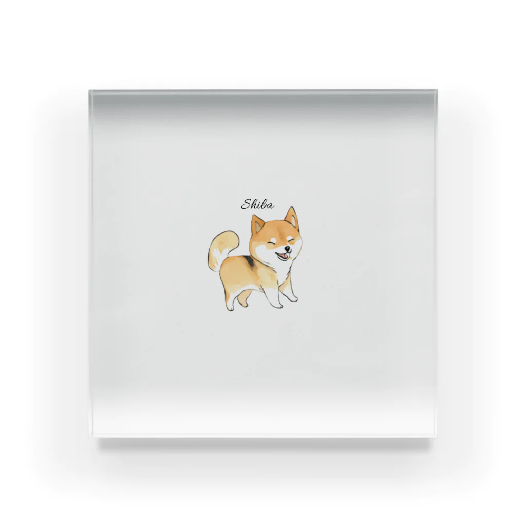 A-Kdesignのshiba① アクリルブロック